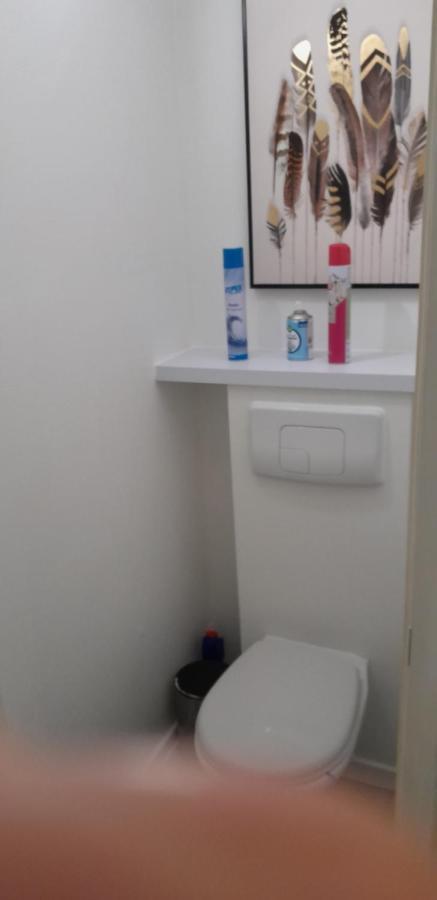 Appartement 2 Ch 40 M2 Au Pied Des Pistes De Ski Enchastrayes Dış mekan fotoğraf